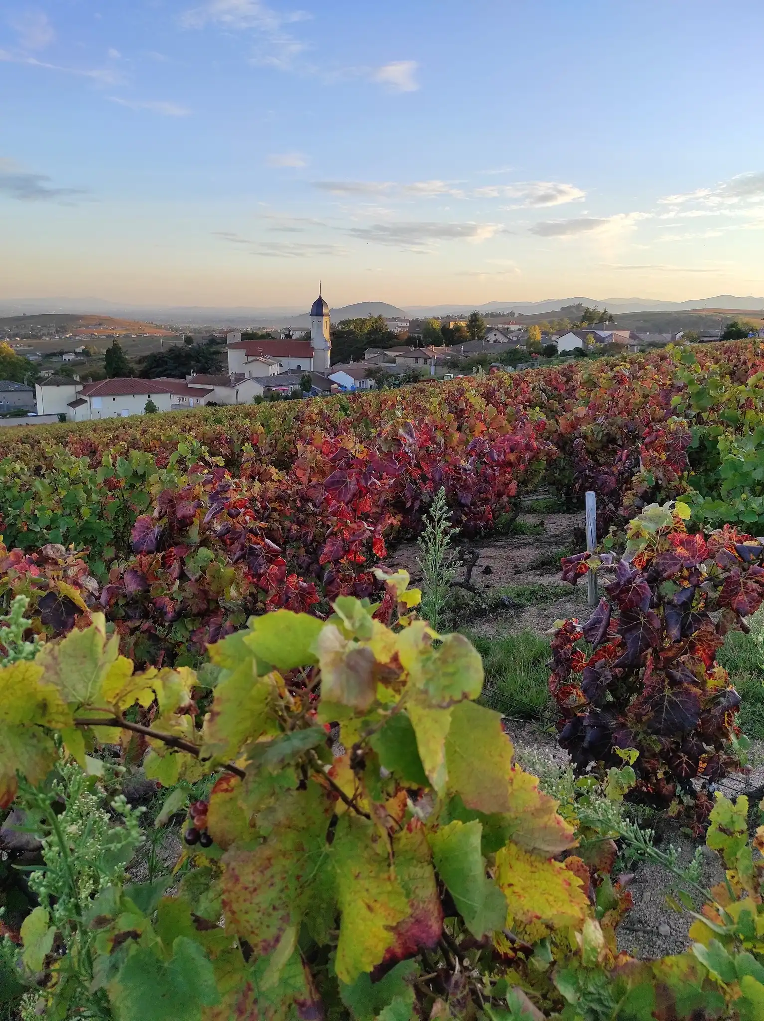 Vue sur les vignes et le village de Chiroubles en automne