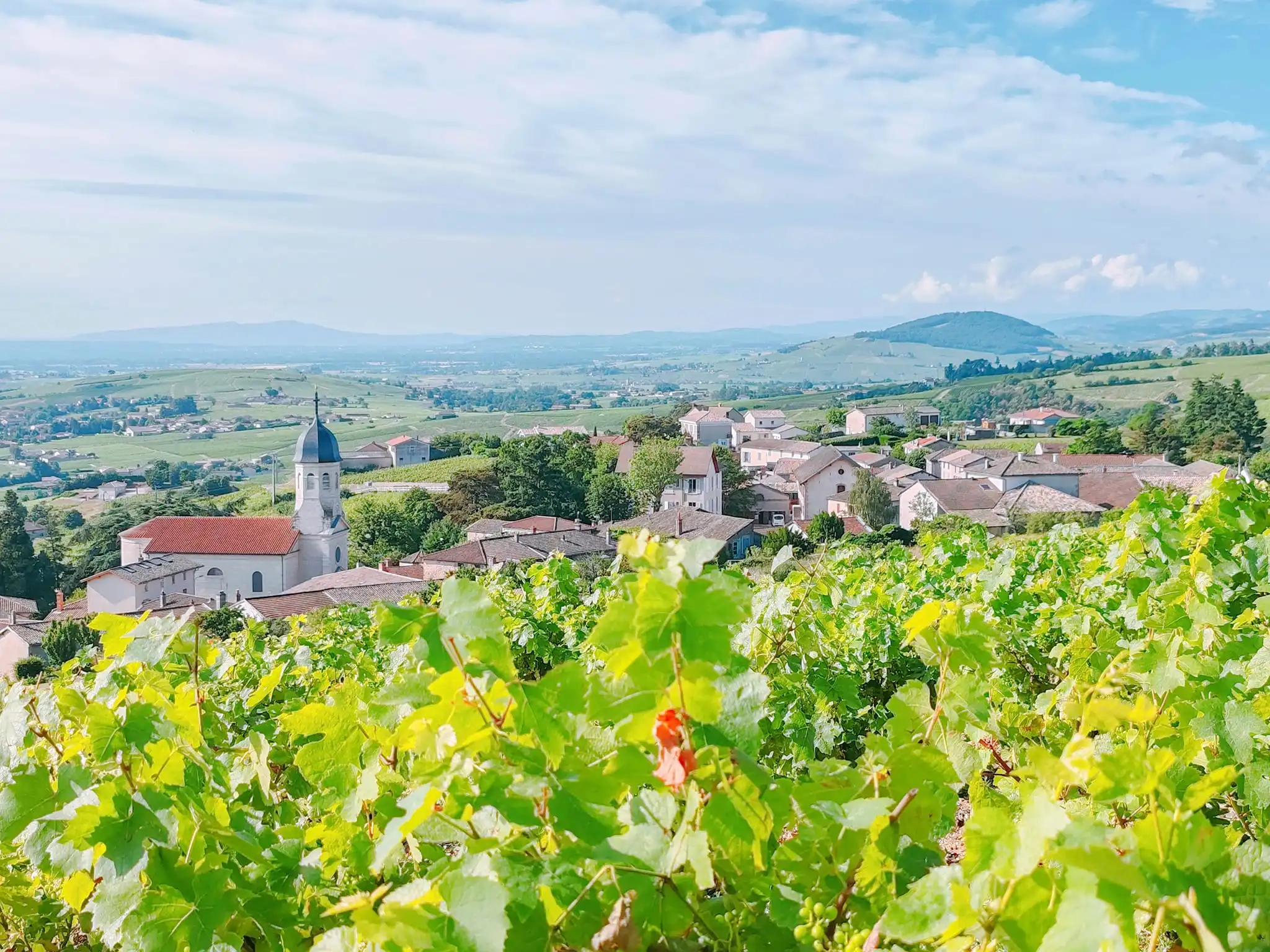Vue du village de Chiroubles